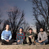 ANIMAL COLLECTIVE NEWS