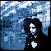 BLUNDERBUSS