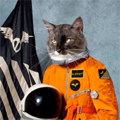 SURFING THE VOID