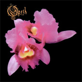 ORCHID