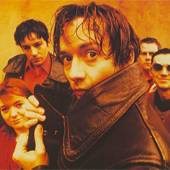 PULP