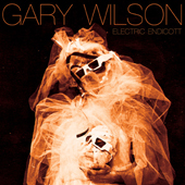GARY WILSON – ELECTRIC ENDICOTT