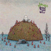 J MASCIS – SEVERAL SHADES OF WHY