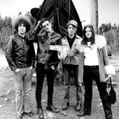 THE DANDY WARHOLS BIOGRAPHIE