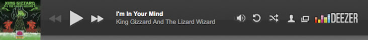 KING GIZZARD AND THE WIZARD LIZARD I'M IN YOUR MIND FUZZ