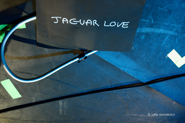jaguarlove_2448_jr_2010
