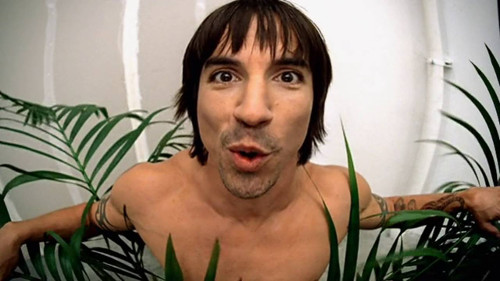 red_hot_chili_peppers_vegetarian_1