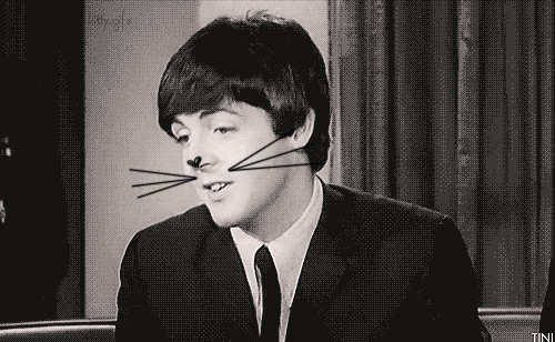 the_beatles_cats