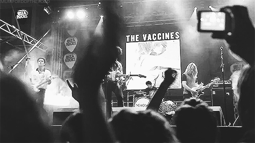 the_vaccines_the_flowerpot