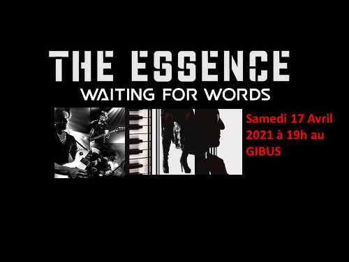 the_essence_concert_gibus