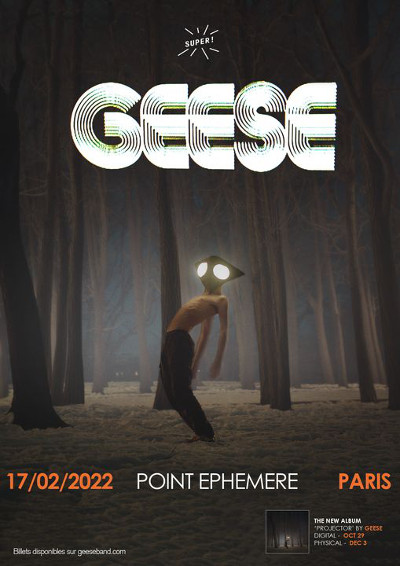 geese_concert_point_ephemere