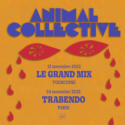 animal_collective_concert_trabendo