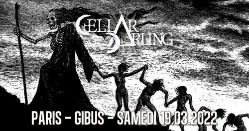cellar_darling_concert_gibus