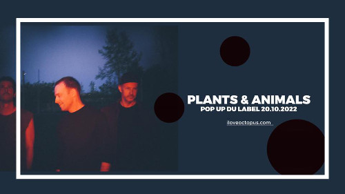 plants_and_animals_concert_pop_up