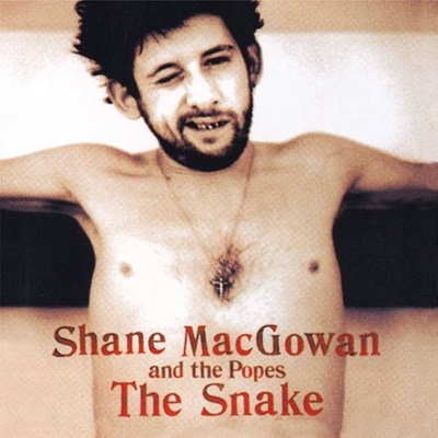 shane_macgowan_the_snake