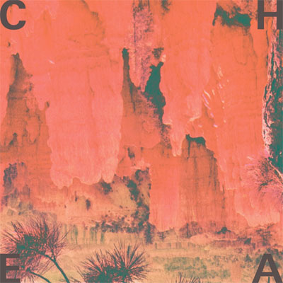 CHEATAHS : POCHETTE PREMIER ALBUM CHEATAHS