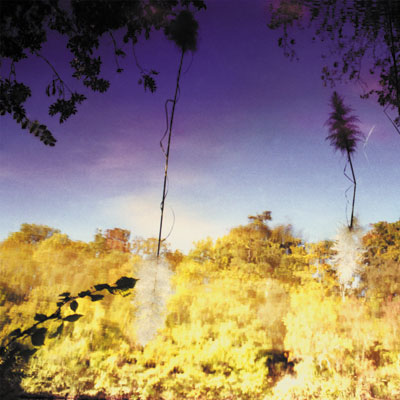 DISCO ANTI NAPOLEON : POCHETTE PREMIER ALBUM ASCENT