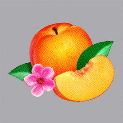 PHOENIX POCHETTE NOUVEL ALBUM BANKRUPT!