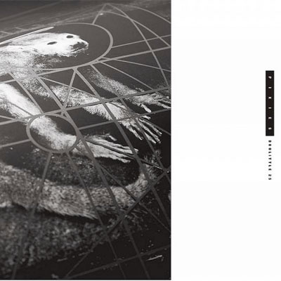PIXIES POCHETTE ALBUM DOOLITTLE 25