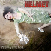 HELMET - SEEINGEYEDOG