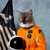 KLAXONS - SURFING THE VOID