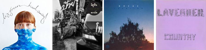 LIZ GREEN, LIMOUSINE, ORCAS, LAVENDER COUNTRY... : LES ALBUMS DE LA SEMAINE EN STREAMING