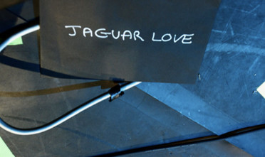 jaguarlove