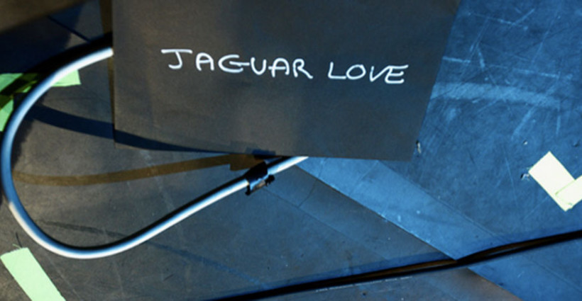 jaguarlove