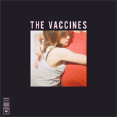 thevaccines_whatdidyouexpect