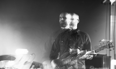 mogwai_8615_joellerasoarivelo_2014.jpg