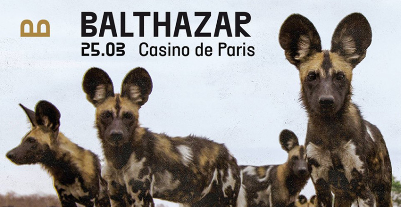 balthazar_concert_casino_de_paris_1