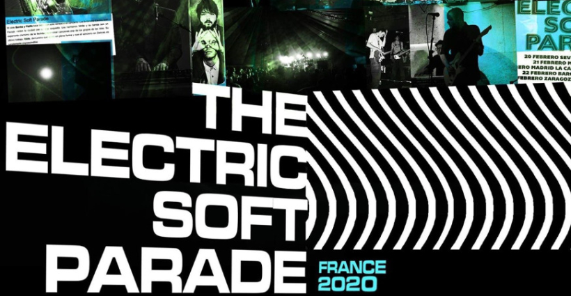 the_electric_soft_parade_concert_petit_bain_2020