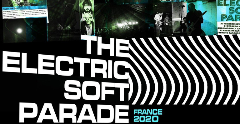 the_electric_soft_parade_concert_petit_bain_2020