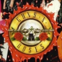 guns_n_roses_st_louis_concert_riot_date