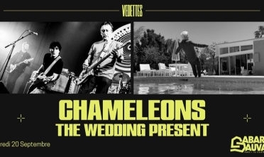 chameleons_concert_cabaret_sauvage_2024