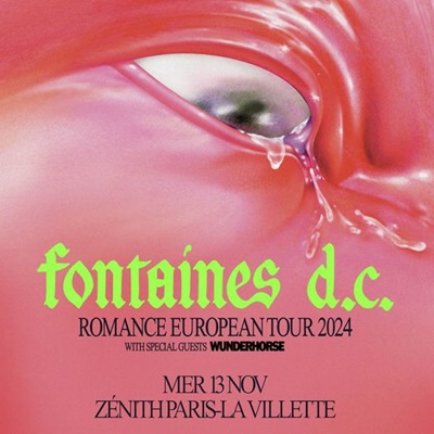 fontaines_dc_concert_zenith_paris